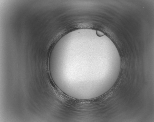 X0000062620353200512281535