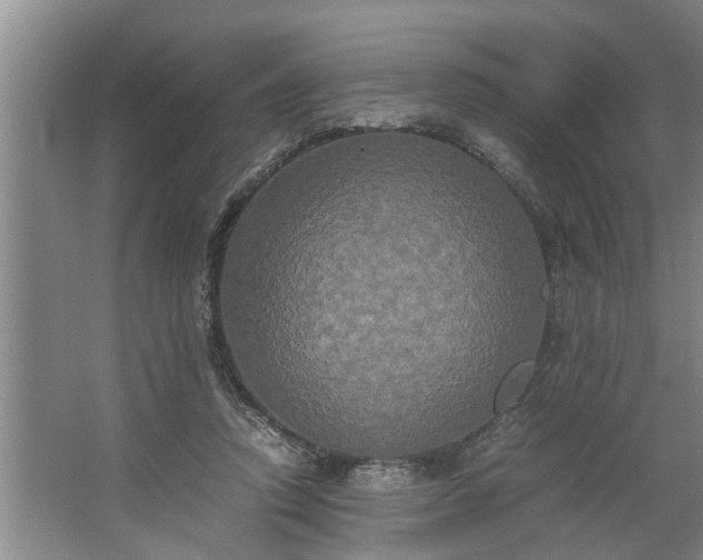 X0000062620354200512281535