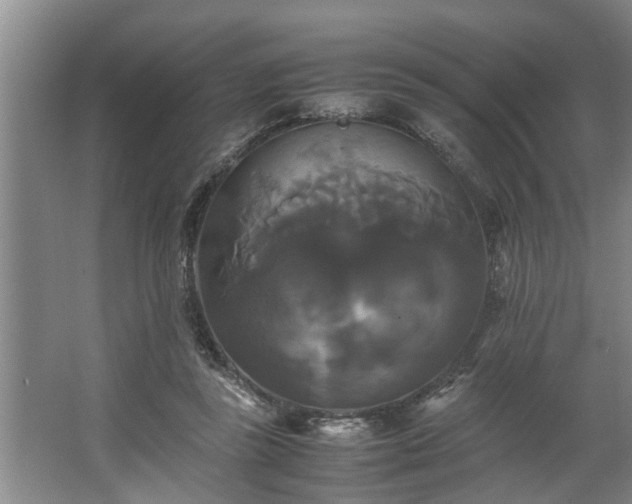 X0000062620355200512281535