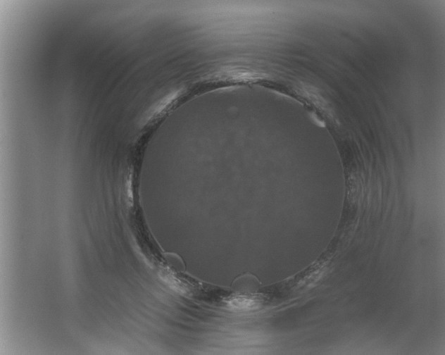 X0000062620358200512281535