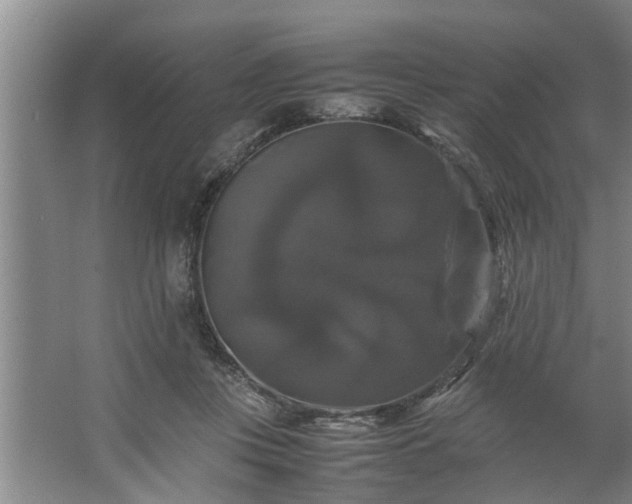 X0000062620359200512281535