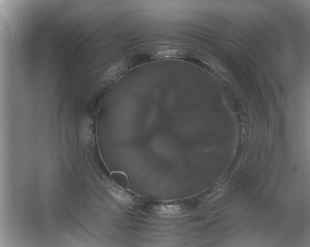 X0000062620361200512281535