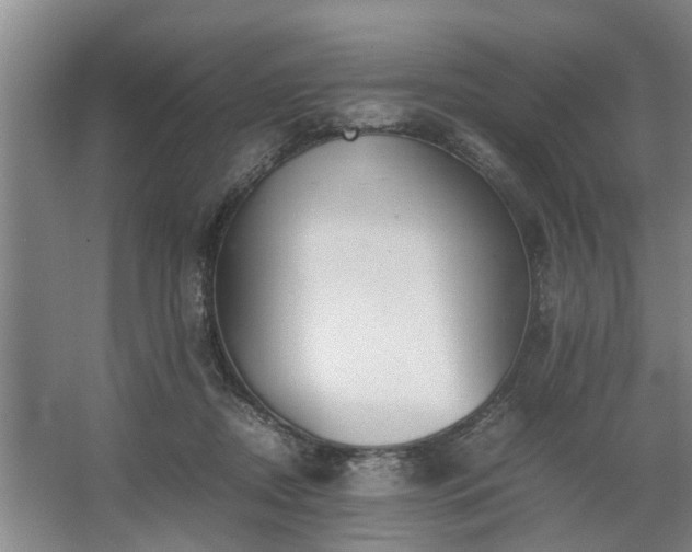 X0000062620362200512281535