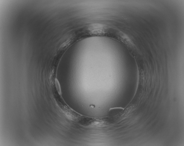 X0000062620364200512281535