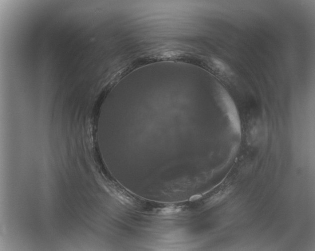 X0000062620366200512281535