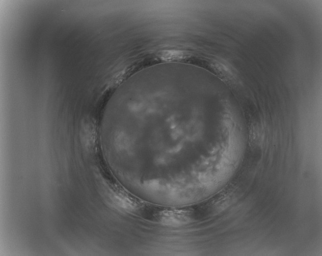 X0000062620367200512281535