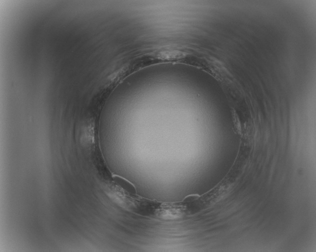 X0000062620368200512281535