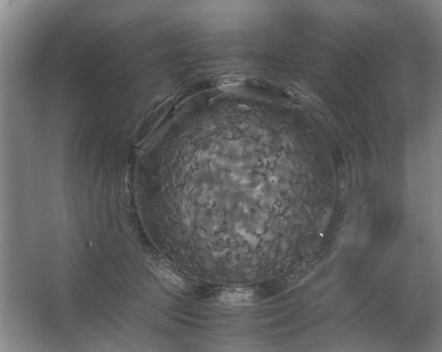 X0000062620369200512281535