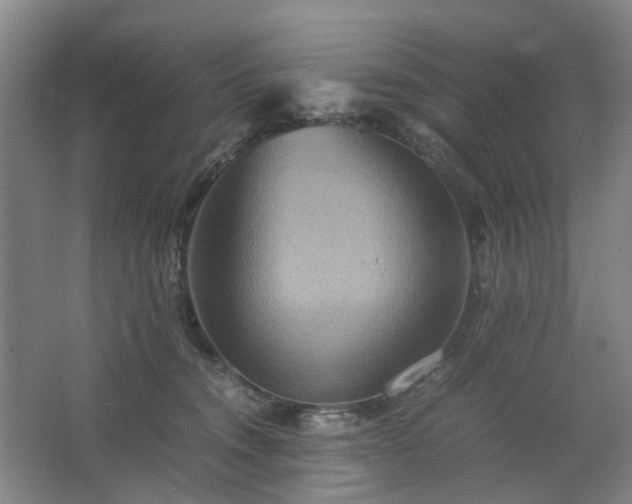 X0000062620372200512281535