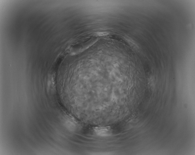 X0000062620373200512281535