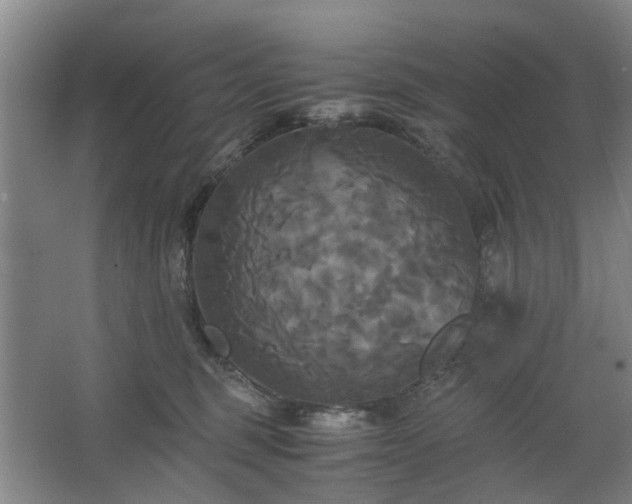 X0000062620375200512281536