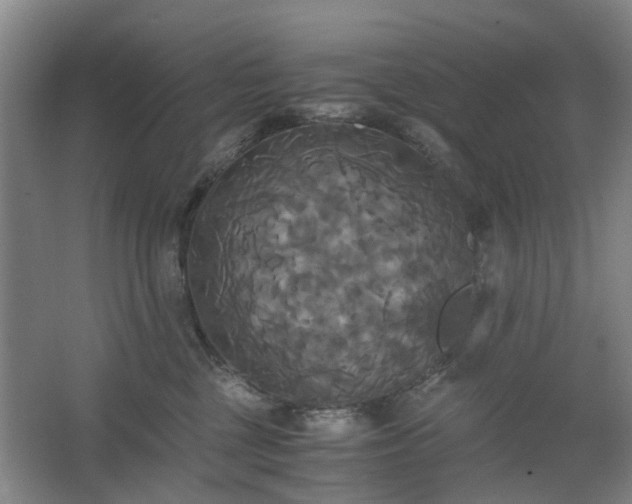 X0000062620377200512281536