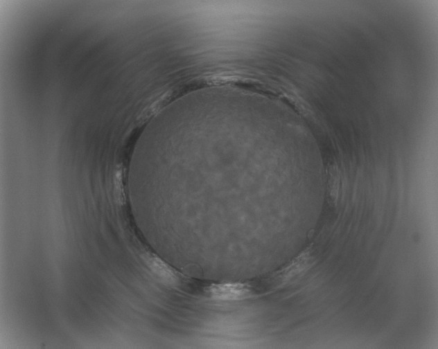 X0000062620378200512281536