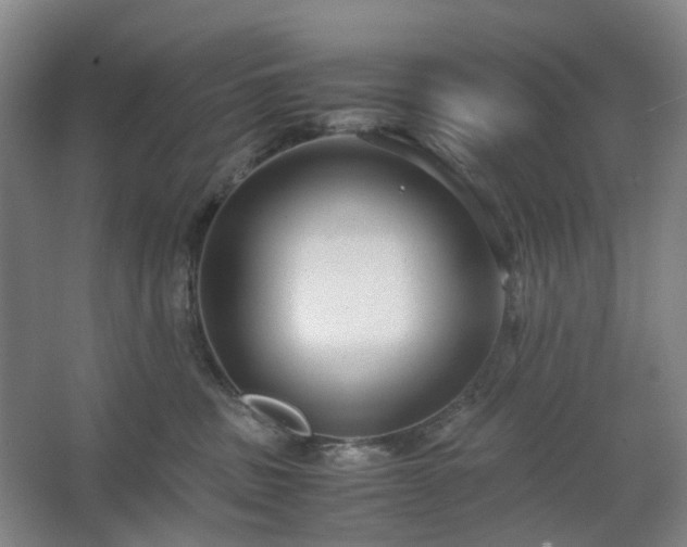 X0000062620379200512281536