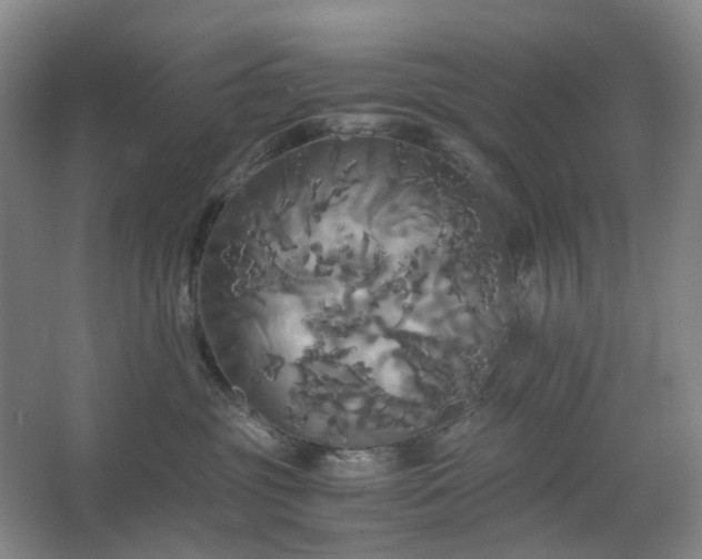 X0000062620381200512281536