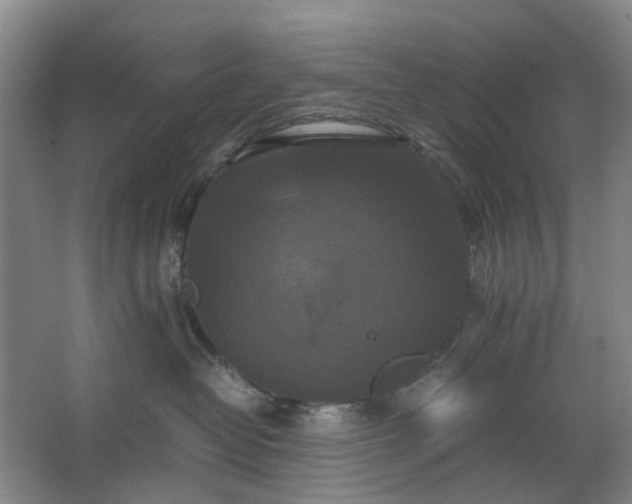 X0000062620382200512281536