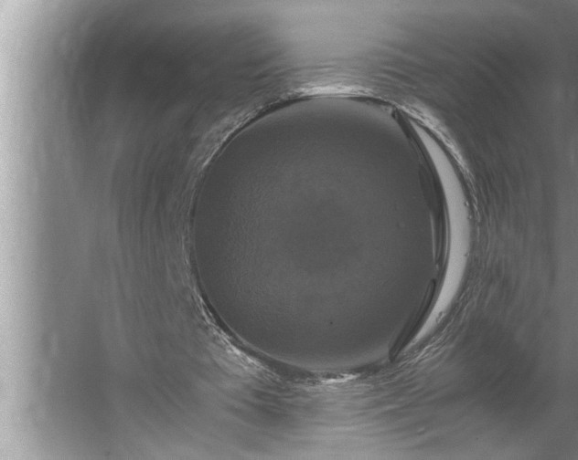 X0000062620385200512281535