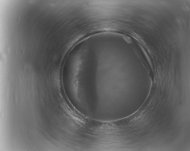 X0000062620386200512281535