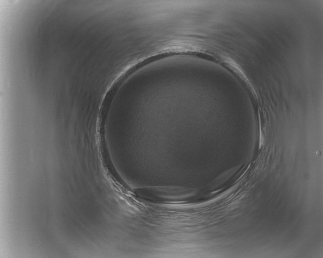 X0000062620387200512281535