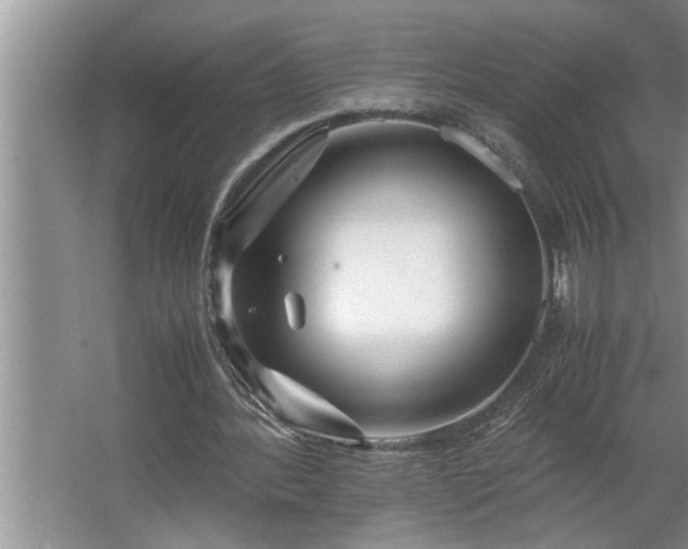 X0000062620388200512281535