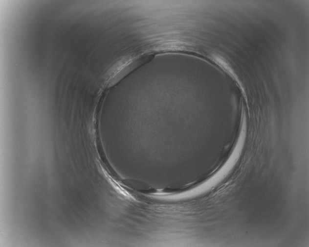 X0000062620389200512281535