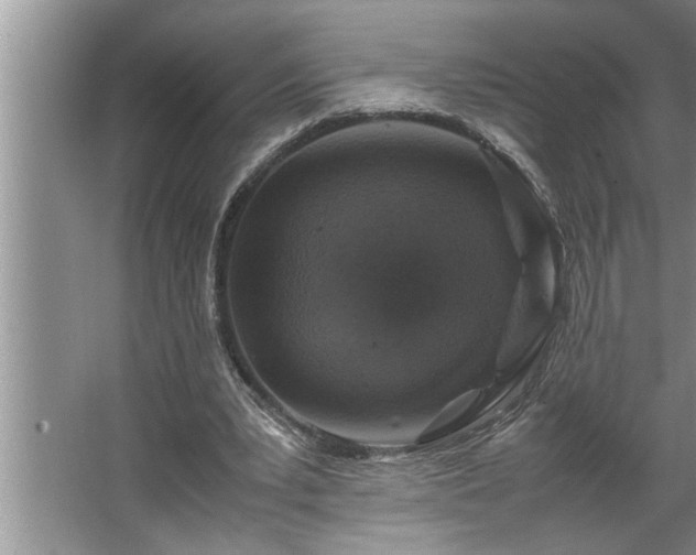 X0000062620391200512281535