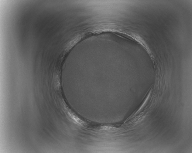 X0000062620393200512281535