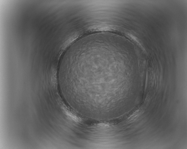 X0000062620394200512281535