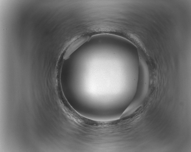 X0000062620395200512281535