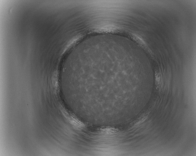 X0000062620396200512281535