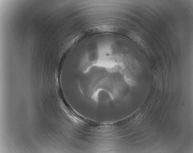 X0000062620398200512281535