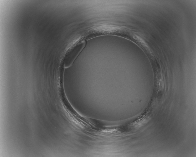 X0000062620399200512281535