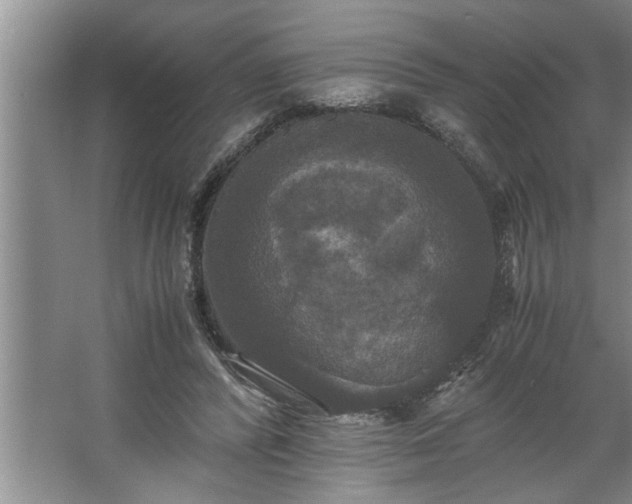 X0000062620400200512281535