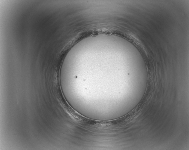 X0000062620401200512281535