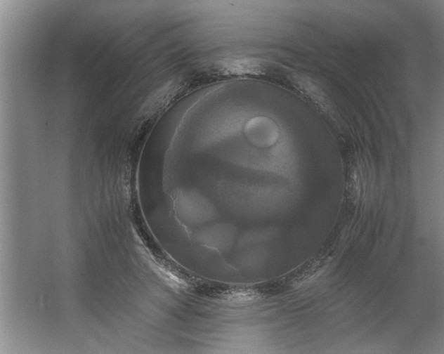 X0000062620402200512281535