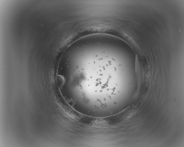 X0000062620403200512281535