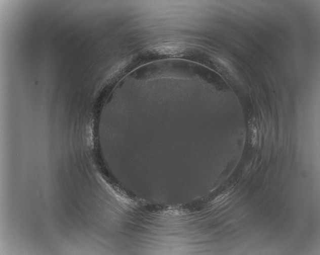 X0000062620404200512281535