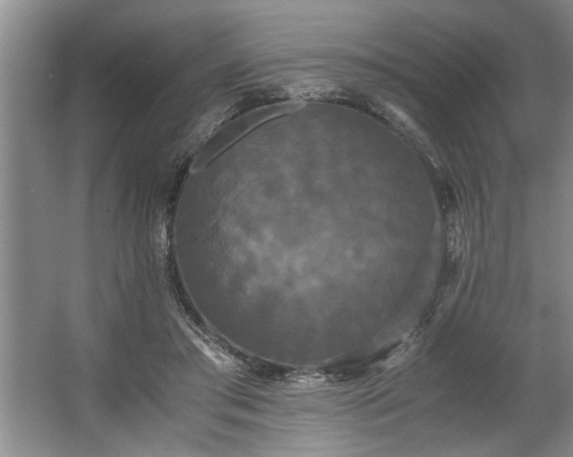 X0000062620405200512281535