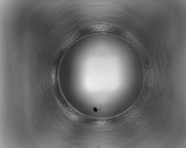 X0000062620406200512281534