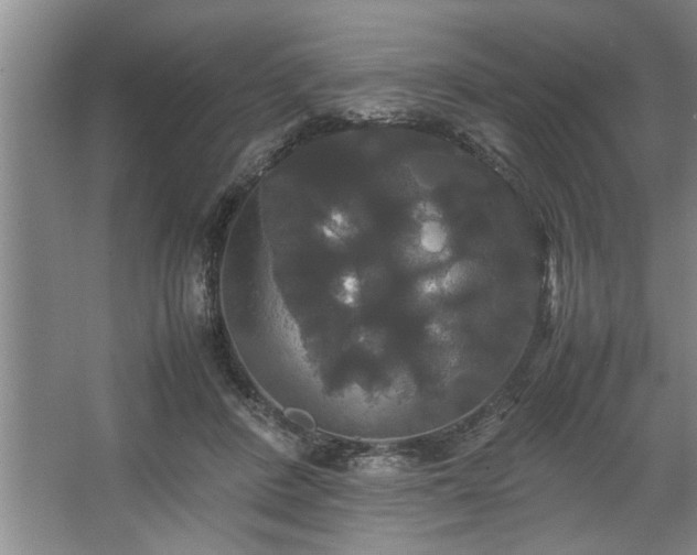 X0000062620408200512281534