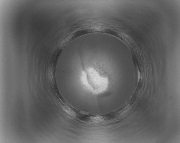 X0000062620409200512281534