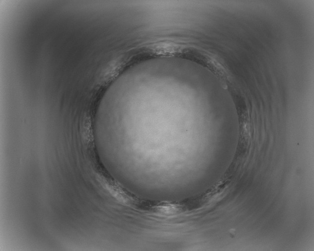 X0000062620411200512281534