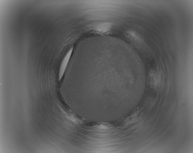 X0000062620412200512281534