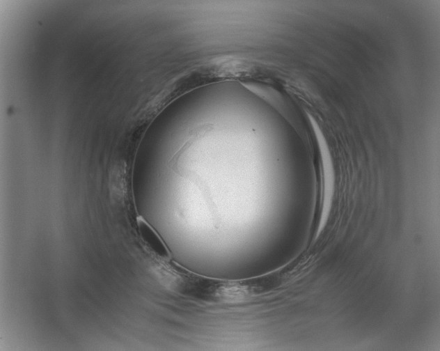 X0000062620413200512281534