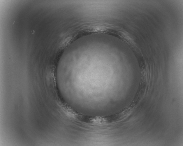 X0000062620415200512281534