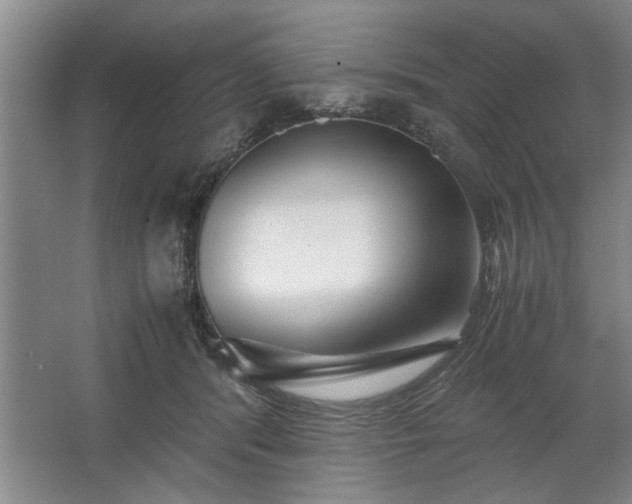 X0000062620416200512281534