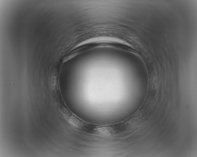 X0000062620417200512281534