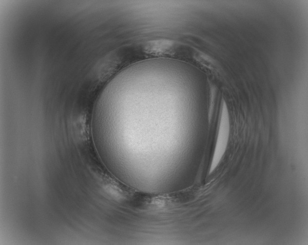 X0000062620420200512281534