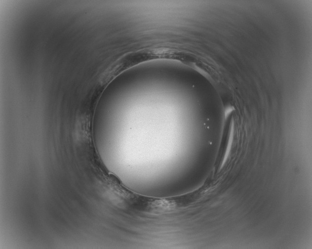 X0000062620421200512281534