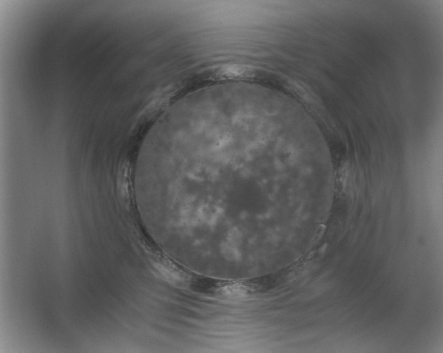 X0000062620423200512281534